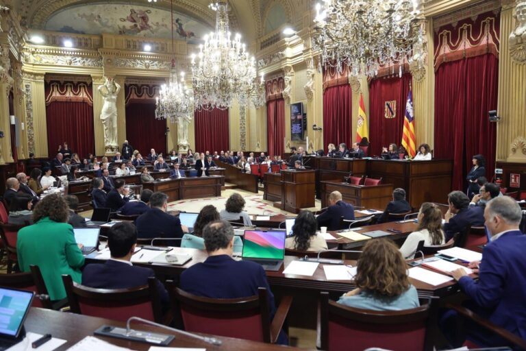 Pleno del Parlament.