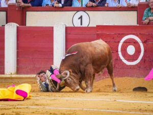 Roca Rey a la enfermería