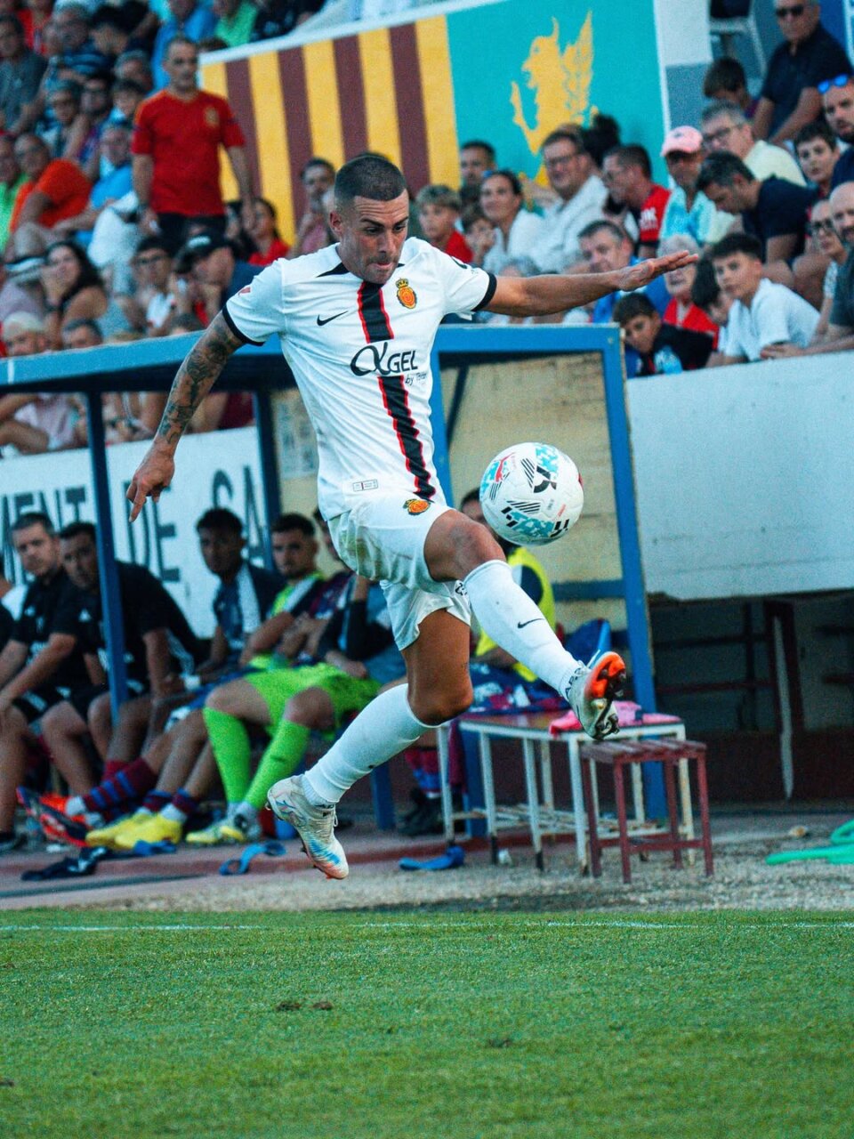 Dani Rodríguez