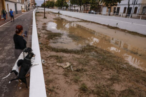 Mujer con perros observa el barranco de La Saleta inundado tras el temporal