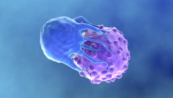 Imagen de recurso de CAR-T Imagen de recurso de CAR-T
