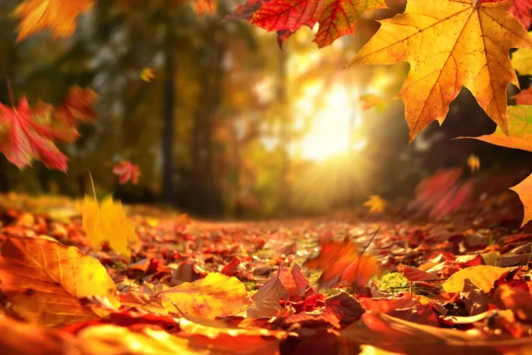 otoño