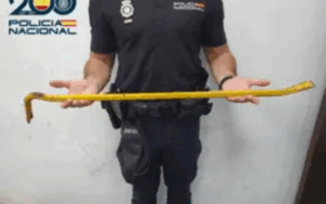 ventana forzada en vivienda por un okupa.