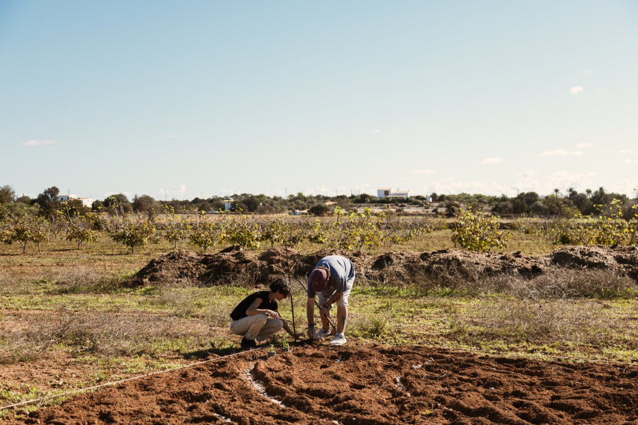 Agricultura