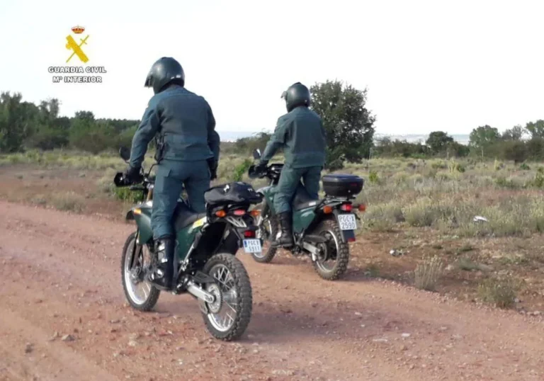 Así fue la búsqueda de la vaquilla que se escapó en Burgos