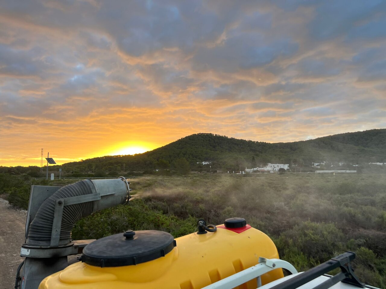 Dispositivo de control biológico de mosquitos en Ibiza al atardecer