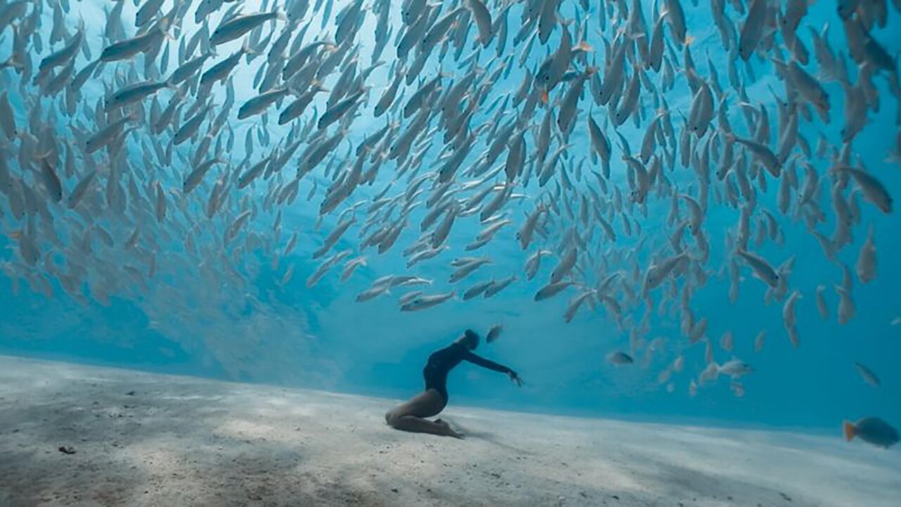 Bailarina bajo el agua rodeada de peces en el océano