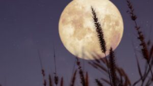 Superluna de la Cosecha iluminando el cielo nocturno