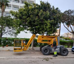 Trabajador realizando poda de árboles en la calle Aragón, Ibiza.