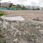 Vista de la playa con residuos y toallitas tras las lluvias en Ibiza