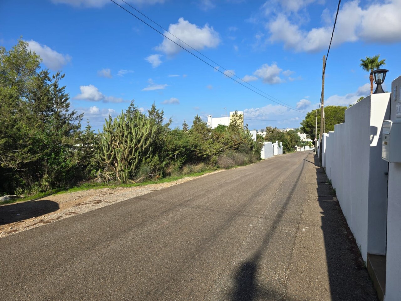 Vista de una calle en Sant Antoni con vegetación y casas