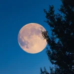 &iquest;A qu&eacute; hora ver hoy la &lsquo;Luna del castor&rsquo;? La superluna m&aacute;s grande y brillante del a&ntilde;o iluminar&aacute; el cielo de Espa&ntilde;a