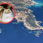 El Govern rompe el entusiasmo por el vino submarino en Ibiza: &iquest;Cu&aacute;ndo podr&iacute;a hacerse realidad?