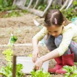 Abren las inscripciones para el taller infantil de agricultura ecol&oacute;gica en Formentera