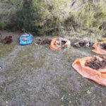 Macabro hallazgo en Formentera: restos óseos de más de 20 animales abandonados en bolsas