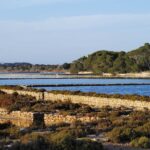 El Consell de Formentera aprueba inicialmente el Plan Especial de Protecci&oacute;n de ses Salines