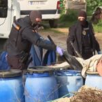 Macrooperación por narcotráfico en Ibiza: lo que revelaron los registros y qué viene ahora