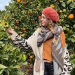 El grupo que rescata las naranjas que se pierden cada invierno en Ibiza
