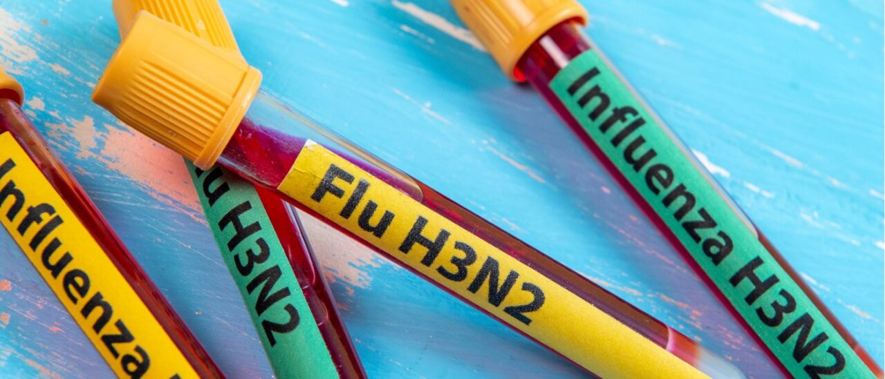 Variante K del virus H3N2