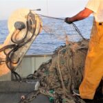 Alarma para la pesca: Se detectan por primera vez microalgas t&oacute;xicas tropicales en aguas del Mediterr&aacute;neo peninsular