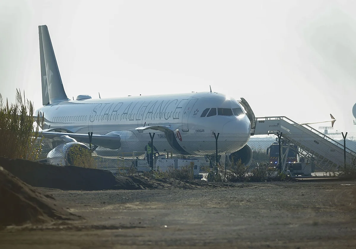 Avi&oacute;n de Turkish Airlines