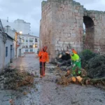 Kristin deja huella en Extremadura: &aacute;rboles arrancados, inmuebles da&ntilde;ados y carreteras cortadas