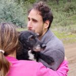 Boro, el perro perdido en el accidente de Adamuz, reaparece vivo y la familia respira aliviada