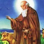 Por qu&eacute; San Ant&oacute;n es el patr&oacute;n de los animales y c&oacute;mo es su historia