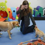 La infanta Sof&iacute;a bautiza a &lsquo;Ona&rsquo;: los detalles de su visita al centro de perros gu&iacute;a