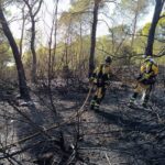 Una buena noticia: notoria baja de incendios forestales en Ibiza y Formentera