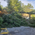 Los efectos del temporal movilizan a los bomberos de Ibiza en 119 intervenciones
