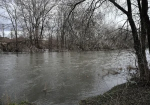 Cauce del r&iacute;o Jarama