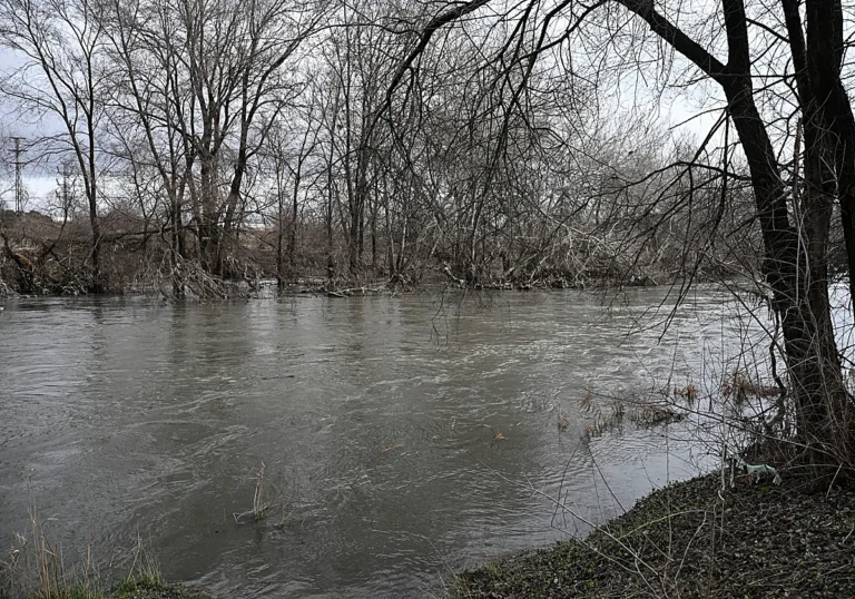 Cauce del r&iacute;o Jarama