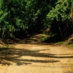 Betoma, el hallazgo arqueológico que obliga a reescribir la historia prehispánica