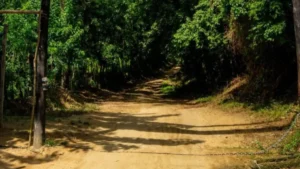 Sierra Nevada de Santa Marta, Betoma