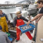 Santa Eul&agrave;ria prepara 1.200 kilos de gerret para una feria que espera 2.000 personas