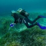 Alerta por la posidonia en Ibiza: 17 de 18 praderas muestran un grave deterioro