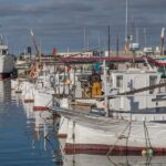Pescar menos para ganar lo mismo: el giro econ&oacute;mico de la flota de Formentera