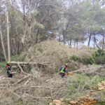 Emergencias 112 gestiona 49 incidencias por el temporal en Ibiza y Formentera