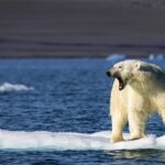 Cambio clim&aacute;tico: el planeta se acerca a puntos de inflexi&oacute;n irreversibles, seg&uacute;n expertos
