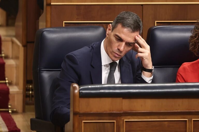 Pedro S&aacute;nchez