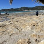Sa Trinxa pierde su arena en Ibiza y deja una imagen desoladora en Ses Salines