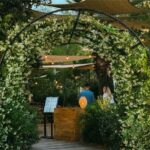 Un plan diferente en Ibiza para el D&iacute;a de la Mujer: encuentro creativo para conectar, pintar y compartir