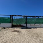 Un chiringuito de Ibiza precintado por obras sin licencia en la playa de es Cavallet