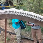 El misterio que cay&oacute; del cielo en Kenia: el objeto de media tonelada que desconcierta a cient&iacute;ficos m&aacute;s de un a&ntilde;o despu&eacute;s