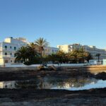 Sant Josep inicia la retirada de posidonia en sus playas de cara al verano