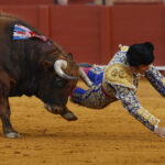 C&oacute;mo sigue la salud del torero Morante de la Puebla tras sufrir una brutal cornada