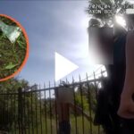 Operativo de la polic&iacute;a de Sant Josep durante una presunta okupaci&oacute;n. Imagen del hacha ilustrativa.