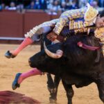 Silencio y tensi&oacute;n en La Maestranza: qu&eacute; ocurri&oacute; con Roca Rey que dej&oacute; a Sevilla sin aliento