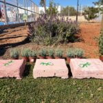 Sant Josep instala 80 refugios para proteger la sargantana pitiusa en jardines municipales
